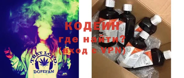 хмурый Арсеньев