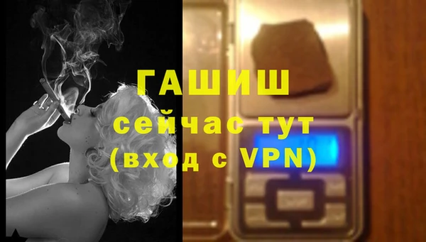 хмурый Арсеньев