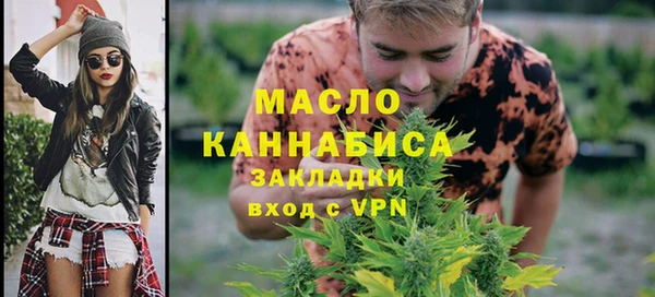 хмурый Арсеньев