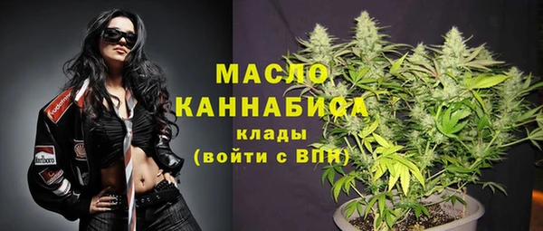хмурый Арсеньев