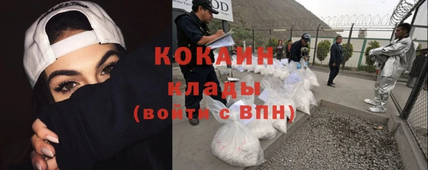 хмурый Арсеньев