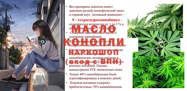 хмурый Арсеньев